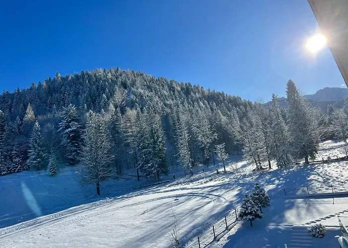 Rezydencja OWCA NA SZLAKU
